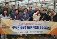 대구 감귤은 우리가 책임진다!