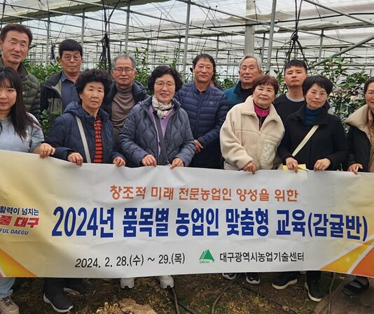 대구 감귤은 우리가 책임진다!