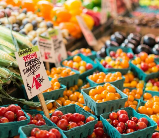 한 총리 “1분기 경제 ‘민간 주도’ 성장…물가안정 뒷받침되어야” red tomato lot on blue baskets