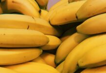 운동 후 빠른 회복을 위한 영양 가이드 yellow banana fruits