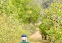 노인 질환의 예방과 관리 방법 a man walking on a dirt path