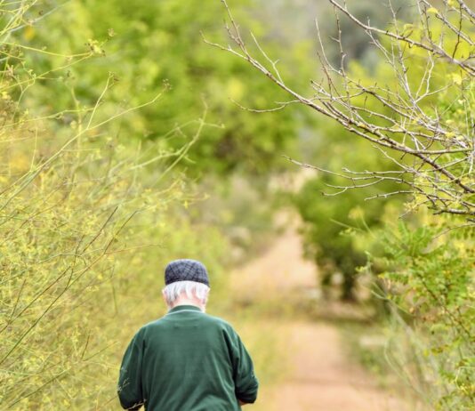 노인 질환의 예방과 관리 방법 a man walking on a dirt path