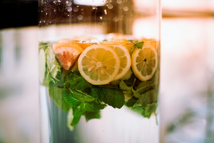 a glass of water with a lemon slice and a leafy green plant