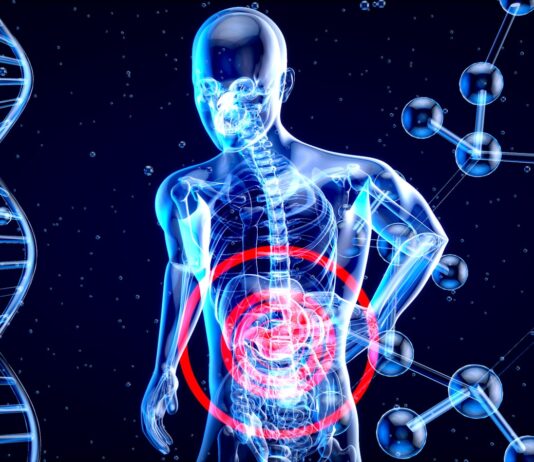 멀쩡해 보이지만 깊어지는 만성 소화 장애의 생활 패턴적 원인 a 3d image of a human with a red circle in his stomach