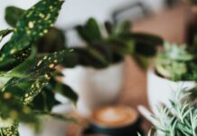 “일상 속 스트레스, 신체와 마음을 다독이는 소소한 루틴이 답이다” shallow focus photography of coffee late in mug on table