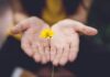 일상에 스며드는 대체요법, 건강을 위한 새로운 습관으로 자리매김 selective focus photography of woman holding yellow petaled flowers