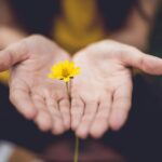 일상에 스며드는 대체요법, 건강을 위한 새로운 습관으로 자리매김 selective focus photography of woman holding yellow petaled flowers
