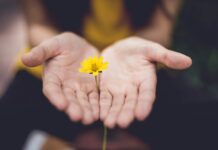 일상에 스며드는 대체요법, 건강을 위한 새로운 습관으로 자리매김 selective focus photography of woman holding yellow petaled flowers