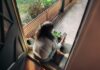 만성피로, 일상을 바꾸는 작지만 강력한 루틴의 힘 Woman sitting on balcony with smartphone