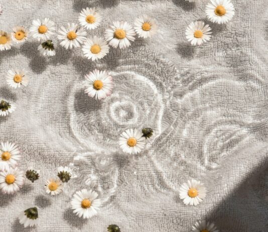 삶에 스며드는 웰니스 문화… 일상 속 실천법은? white and blue floral textile