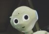 인공지능, 우리 집 건강 비서로 자리 잡다 white robot toy holding black tablet